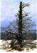 Caspar David Friedrich Oak Tree in the Snow oil